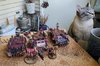 56. Simon and the Blood Wolves.jpg