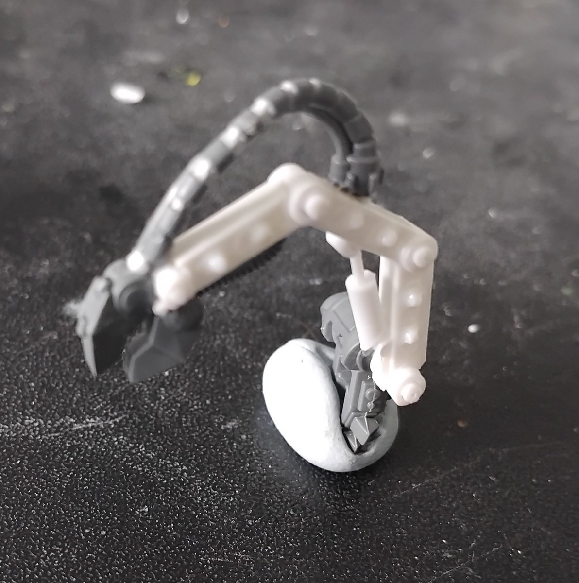 Marines Adamant