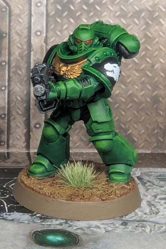 12 Months of Hobby 2025