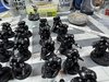 IMG_6170.jpeg