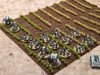 LI infantry.jpg