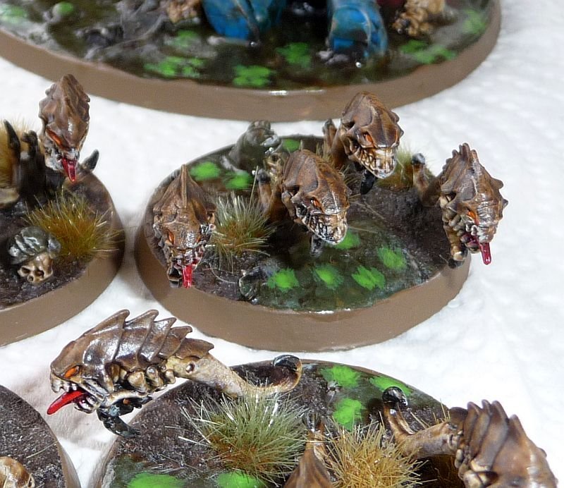 0410Rippers2.jpg.49d7e5ffc937b1c29de96a8f48947d0f.jpg