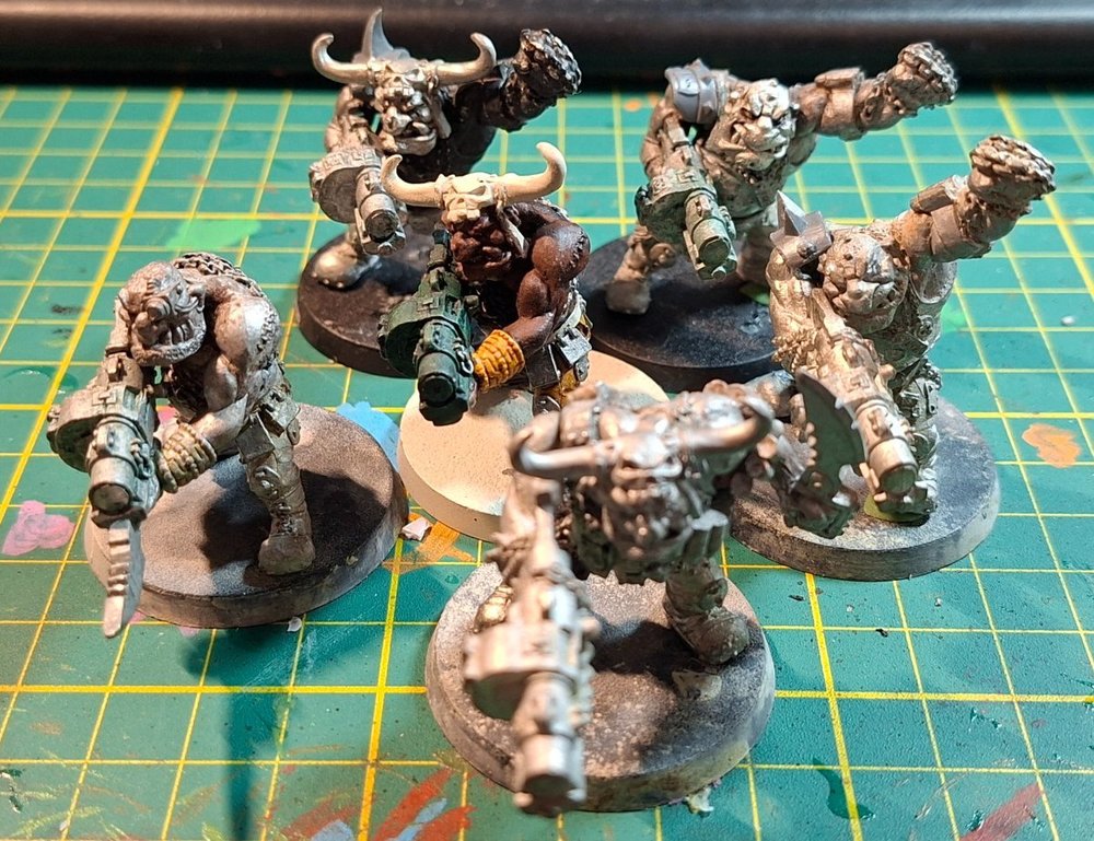 Ogryns