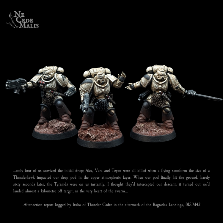 First Group.png