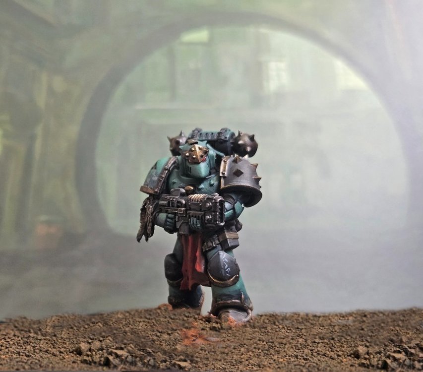 SoH_Vet6.jpg