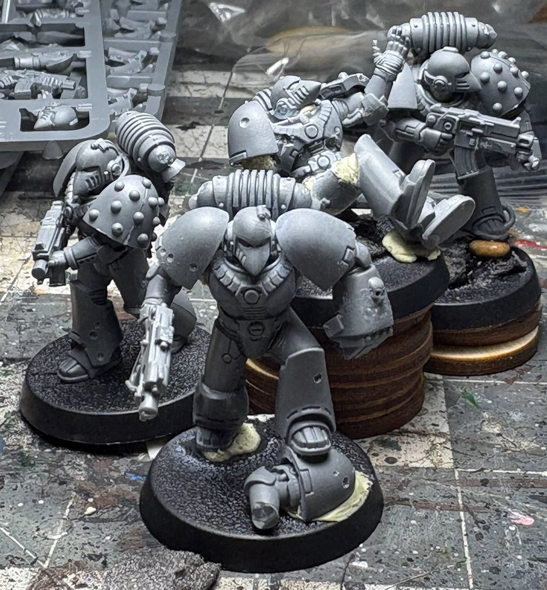 large.warden20251017_roguetradermarinesW