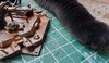 69. Rivets and Paw.jpg