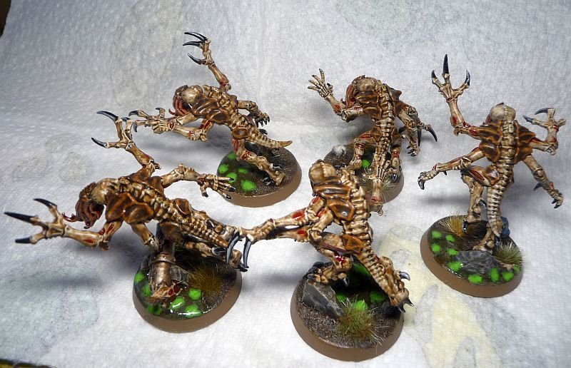 1511Genestealers2.jpg.2fa295d3359943b27f650ea732489c93.jpg
