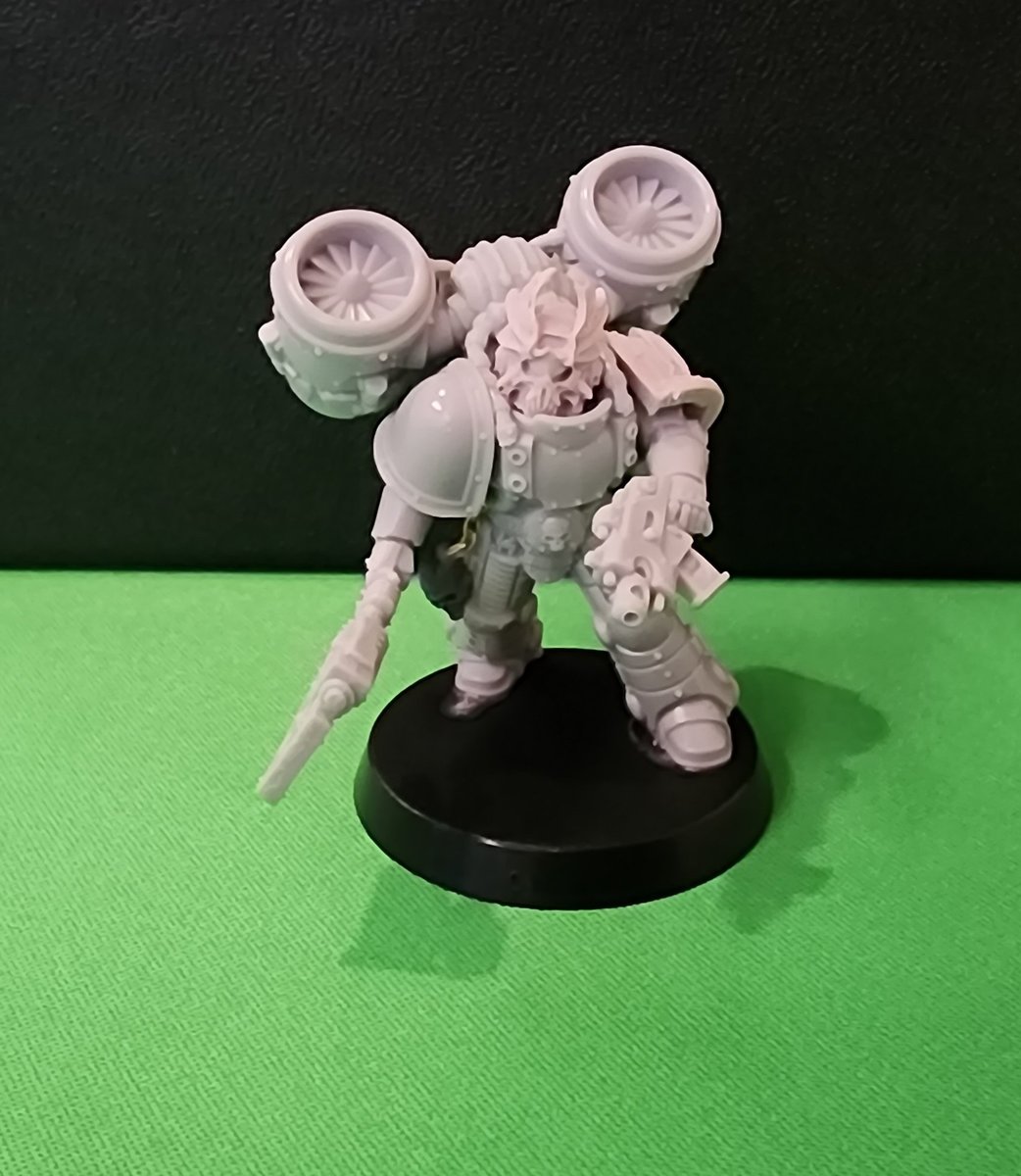 large.2Raptor1.jpeg.d5c705977c79fba3b4c0