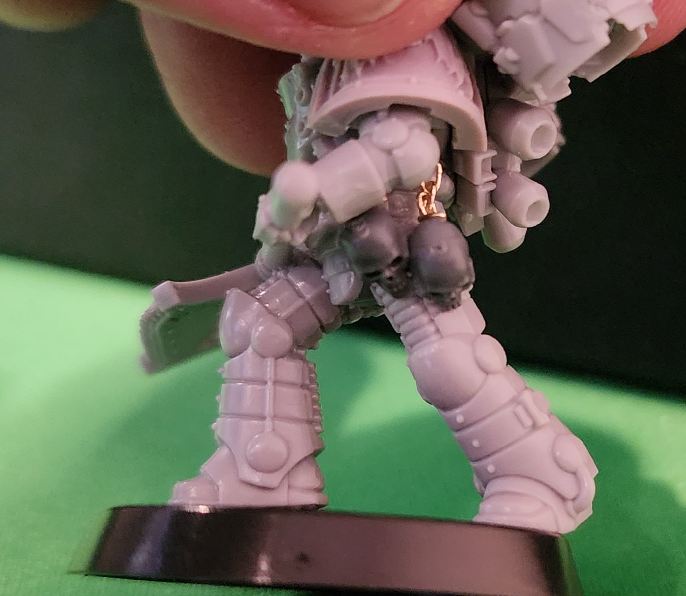 large.2Raptor5.jpeg.a2d926e5ef5cab2d56c6