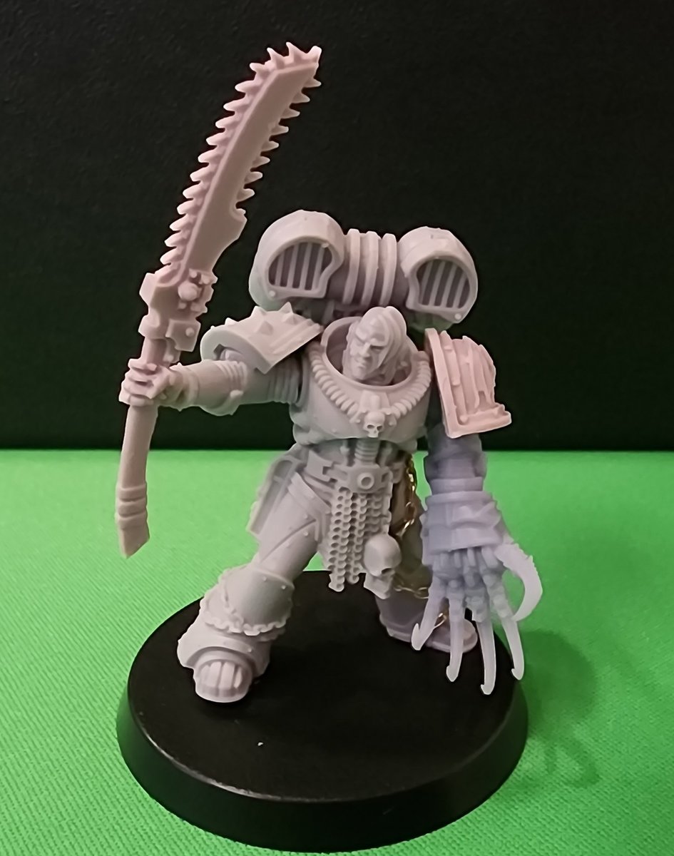 large.carrow1.jpeg.e7c99f26622807de6db5f