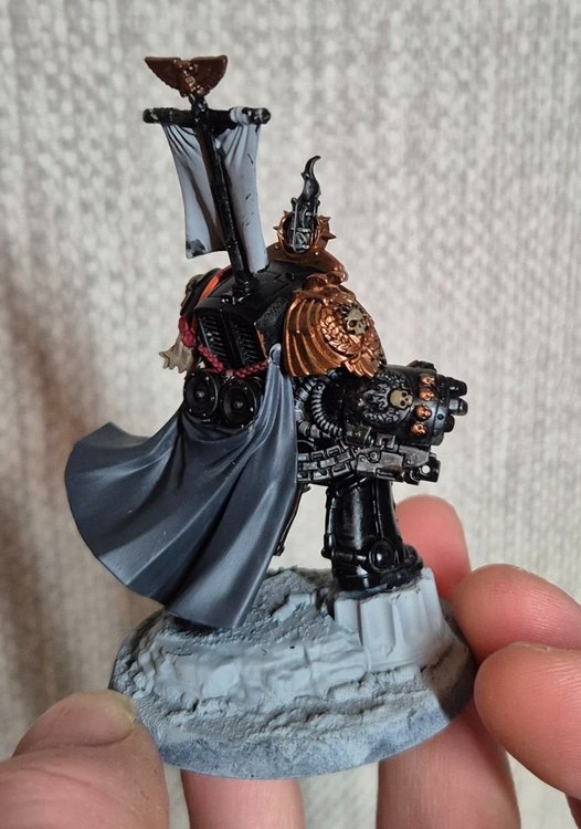 ChapterMaster03.thumb.jpg.246ac611e74ae8fa5b459e5fc6bb341e.jpg