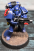 Bolter 06.PNG