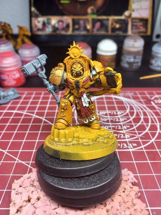 WhatsApp Image 2026-02-24 at 12.53.57.jpeg