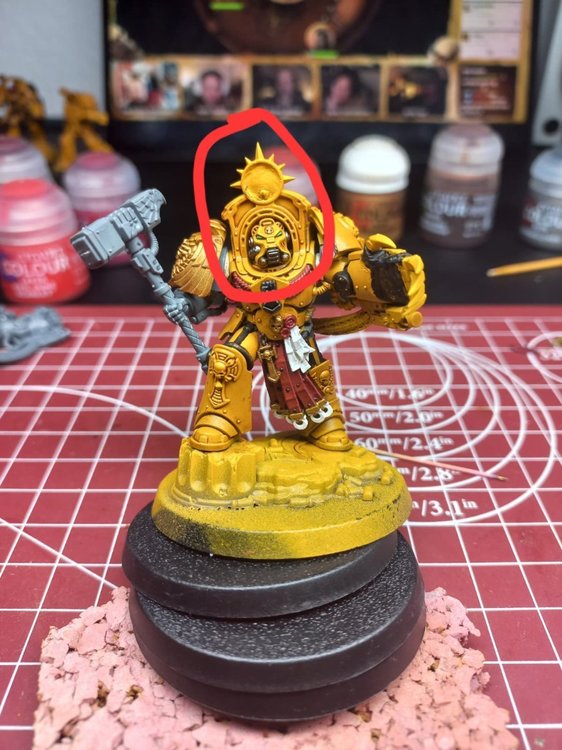 WhatsApp Image 2026-02-24 at 12.53.58.jpeg