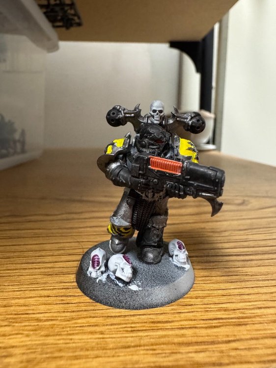 Crol Falkos-6.jpeg