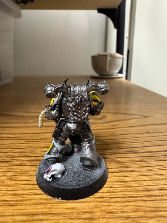 Semnex Metagor-4.jpeg