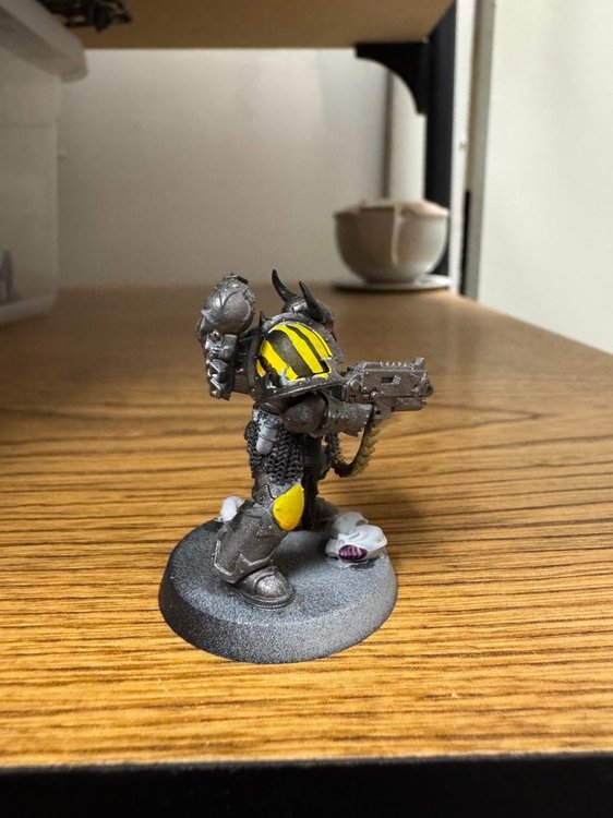 Semnex Metagor-5.jpeg