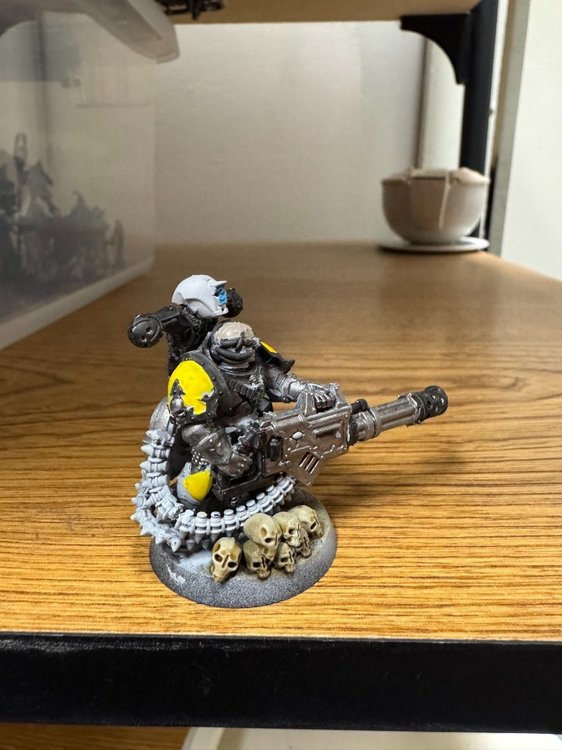 Varsigonn Anarax-3.jpeg