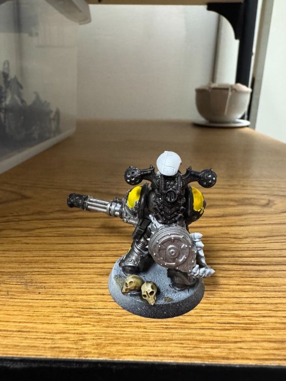Varsigonn Anarax-5.jpeg