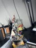Castellan Crowe FInal Side.jpeg