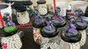 First batch of Setting Sons