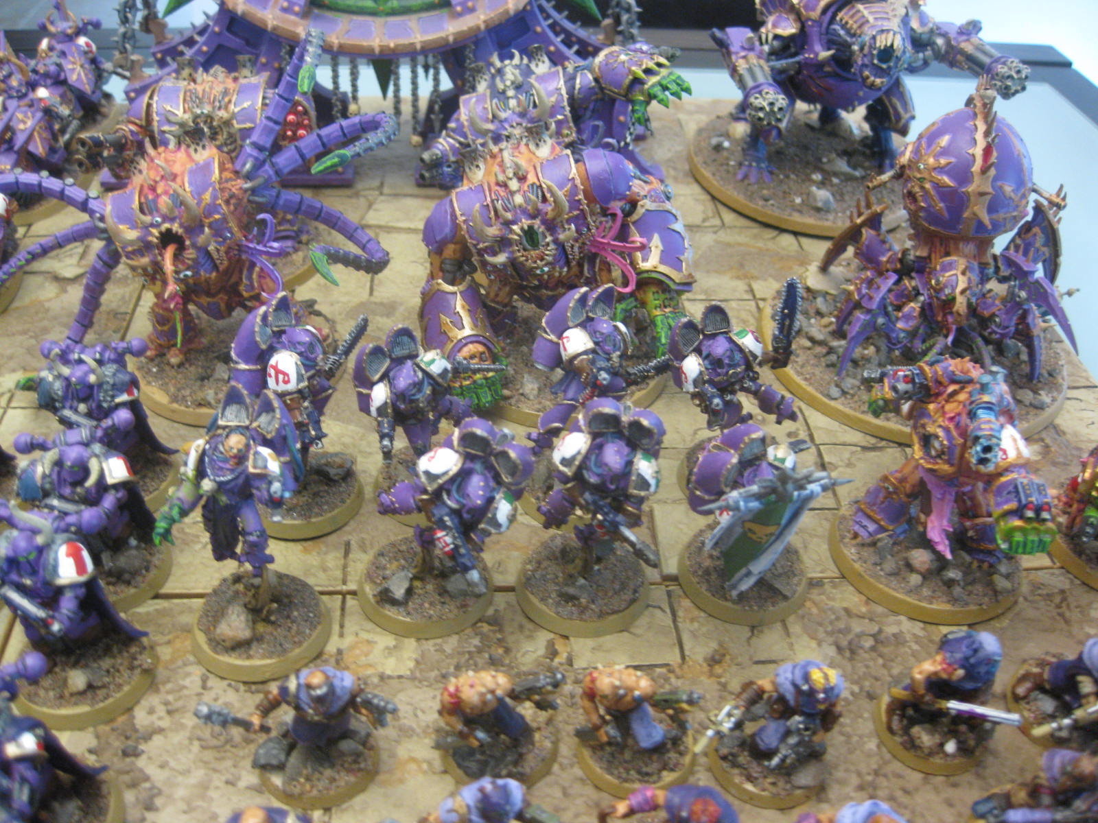 CSM479.jpg