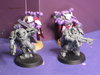 CSM335.jpg