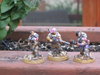 CSM352.jpg