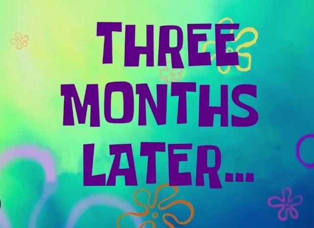 large.3monthslater.JPG.9fd43d8e3aa4735da