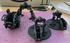 IMG_2397.jpeg