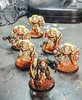 Chaplain in Terminator Armor.jpg
