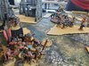 5. Termies Drop In.jpg