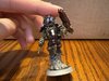 IMG_7553.jpeg