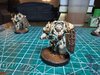 IMG_7917.jpeg
