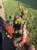 IMG_8324.jpeg