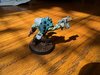IMG_8595.jpeg